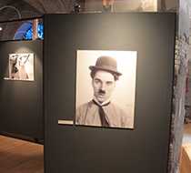 Cinematica 2014